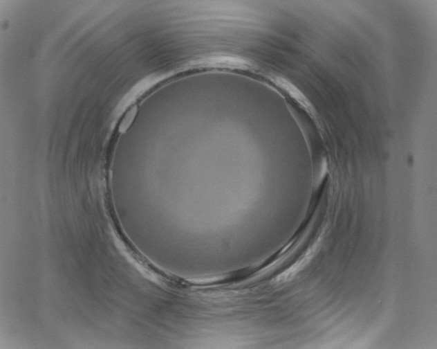 X0000063530989200601201454