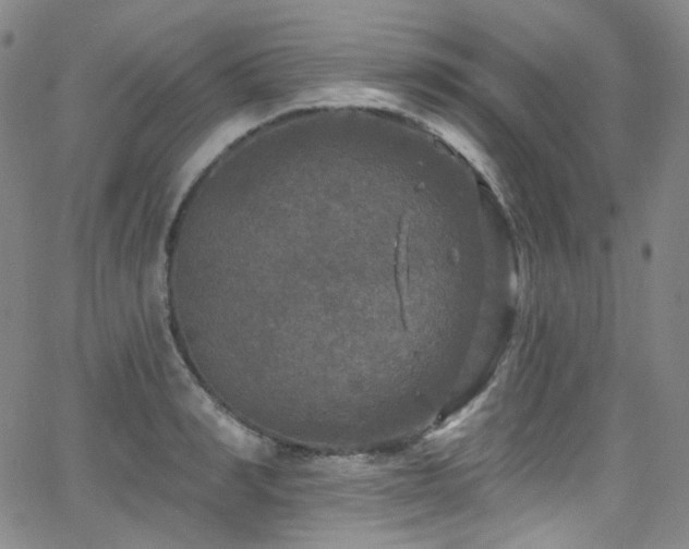 X0000063530990200601201454