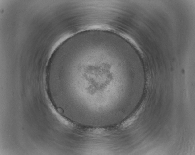 X0000063530991200601201454