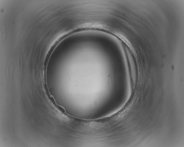 X0000063530992200601201454