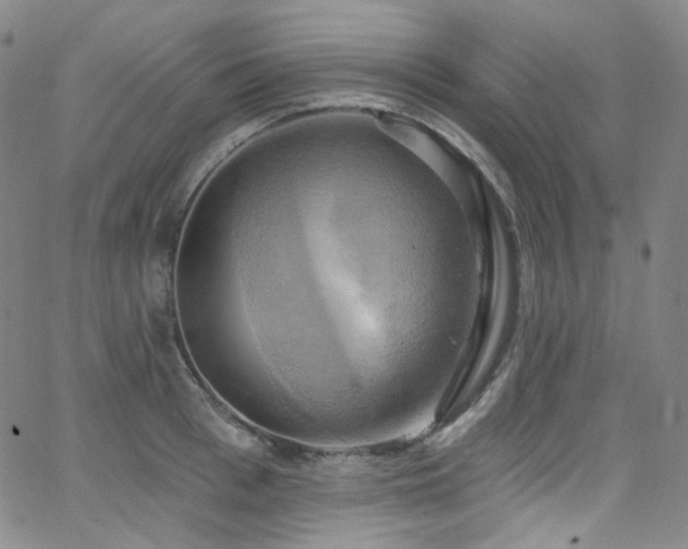 X0000063530993200601201454