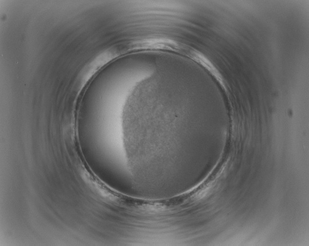 X0000063530994200601201454