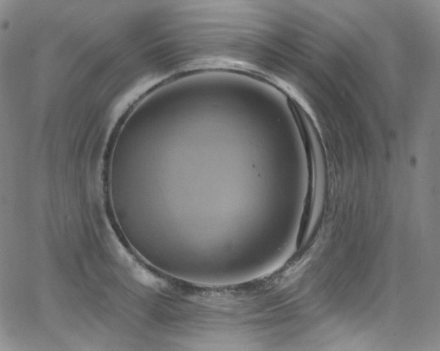 X0000063530995200601201454