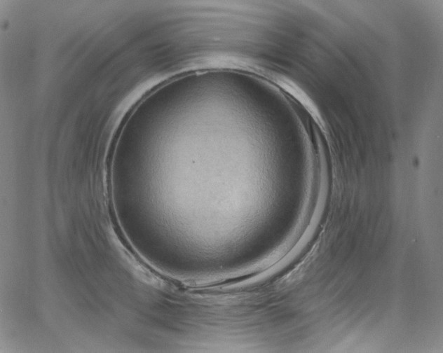 X0000063530996200601201454