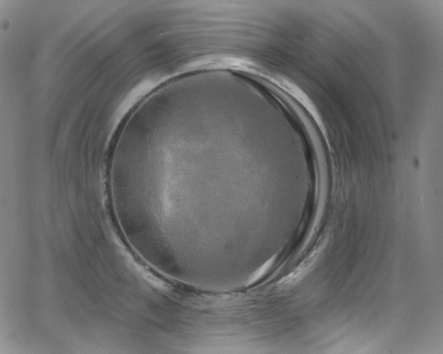 X0000063530997200601201454