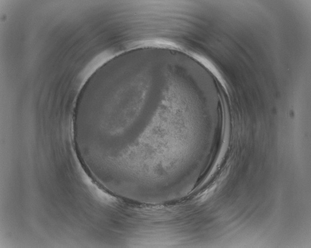 X0000063530999200601201453