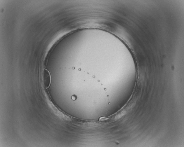 X0000063531000200601201453