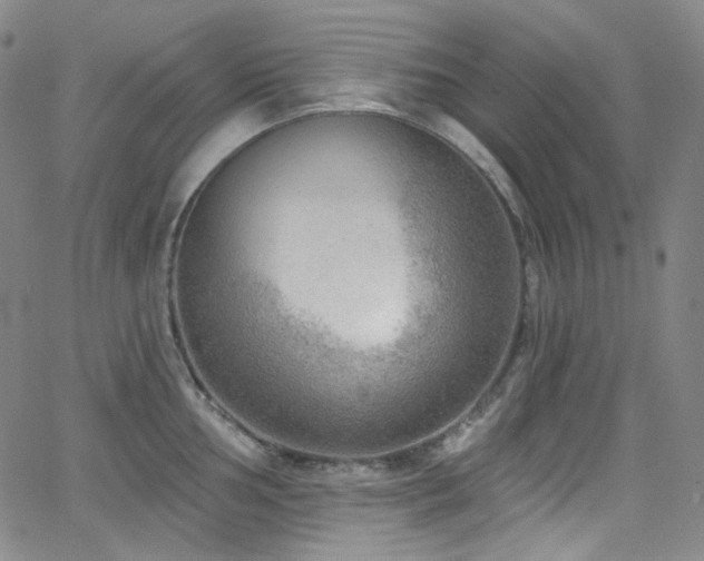 X0000063531002200601201453