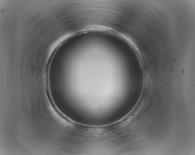 X0000063531003200601201453