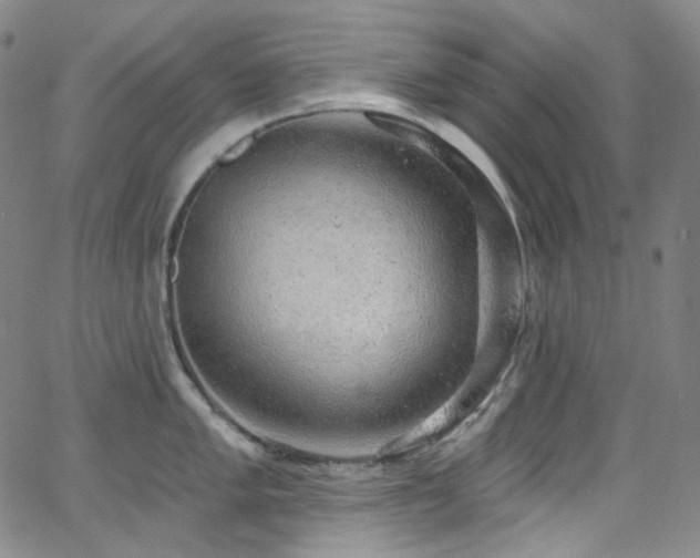 X0000063531005200601201453