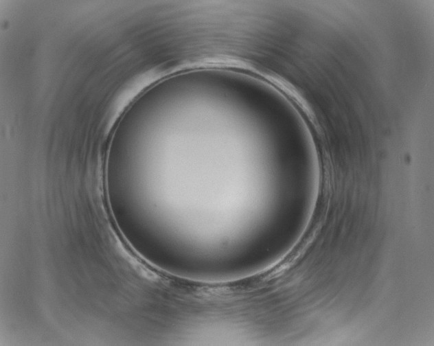 X0000063531006200601201453