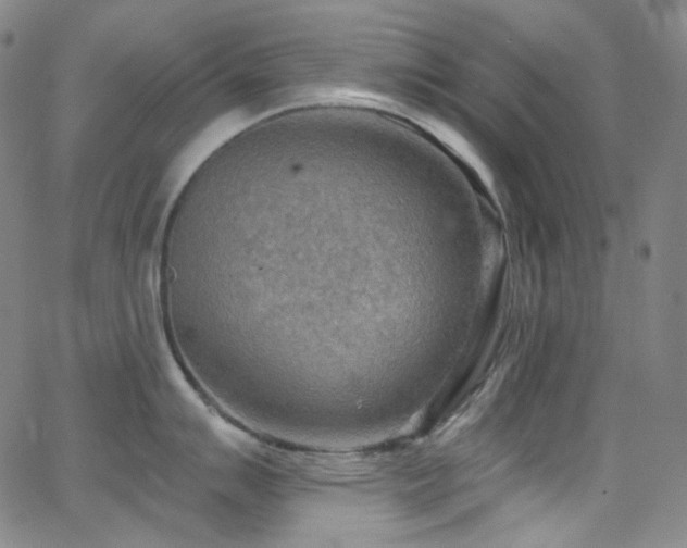 X0000063531007200601201453