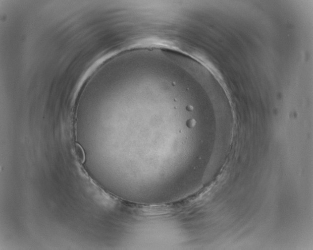 X0000063531008200601201453