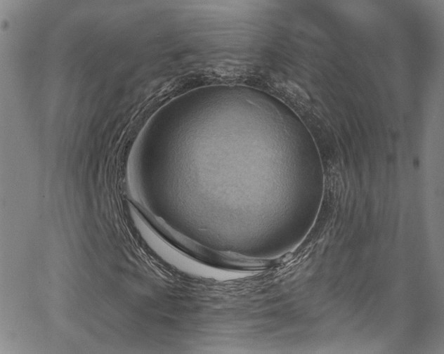 X0000063531009200601201453