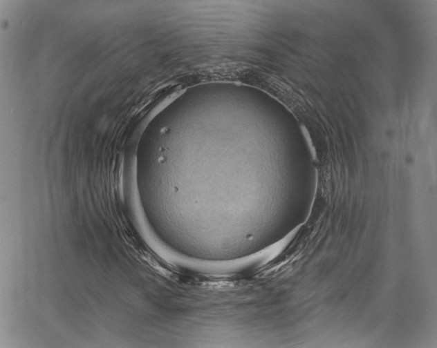 X0000063531010200601201453