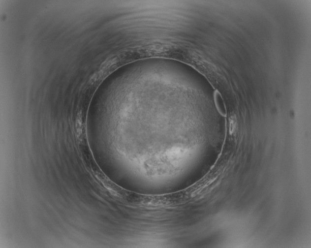 X0000063531011200601201453