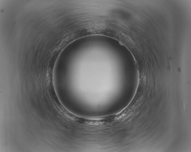 X0000063531012200601201453