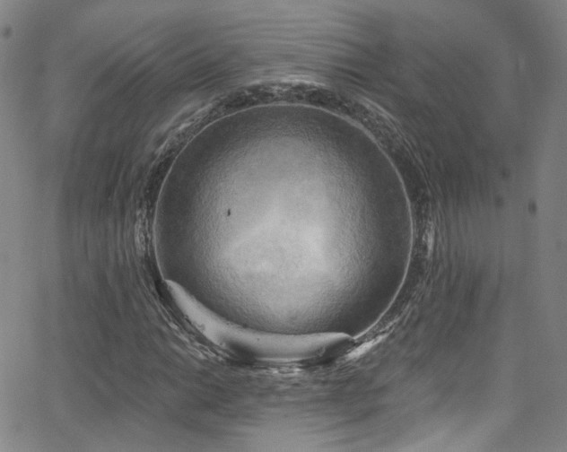 X0000063531014200601201453