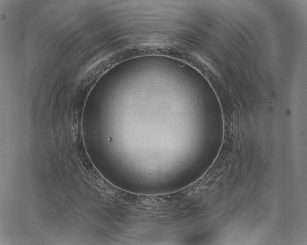 X0000063531015200601201453