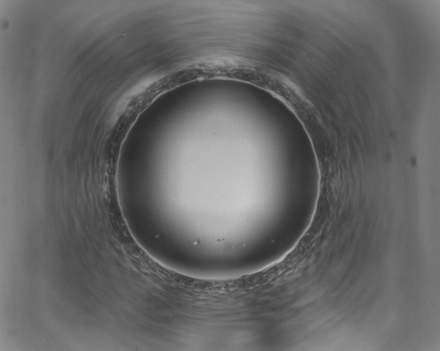 X0000063531016200601201453