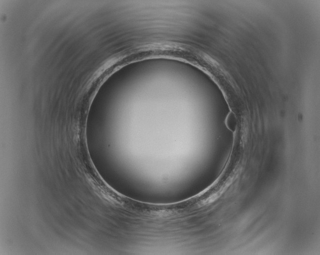 X0000063531017200601201453