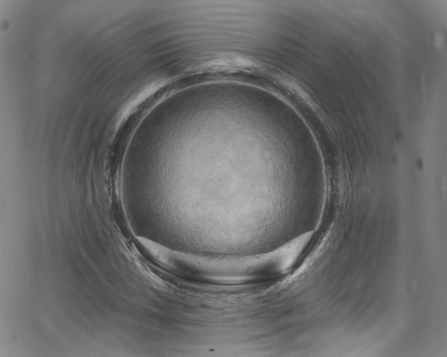 X0000063531018200601201453