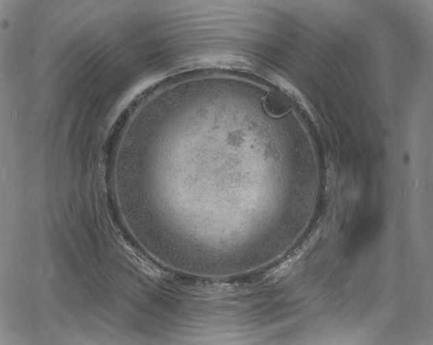 X0000063531019200601201453