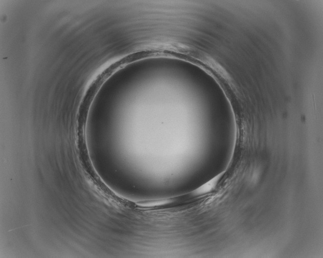 X0000063531020200601201453