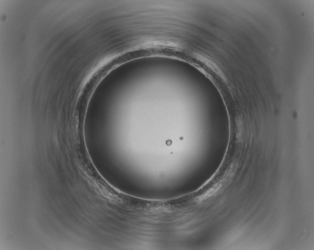 X0000063531021200601201453