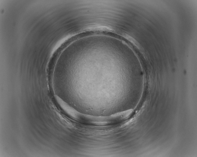 X0000063531022200601201453