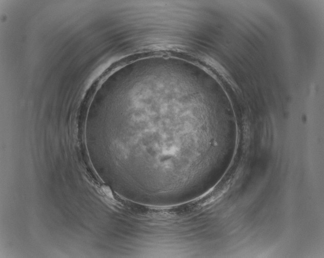 X0000063531023200601201453