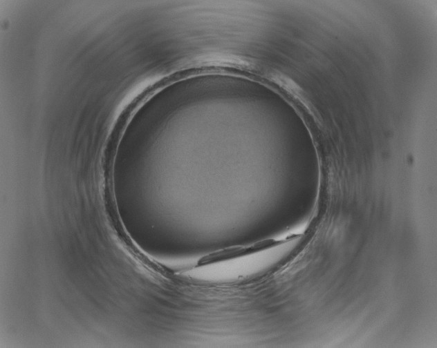 X0000063531024200601201453