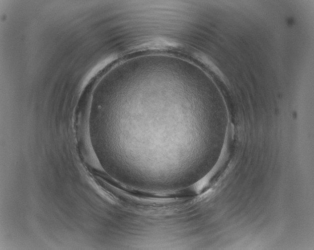 X0000063531026200601201453