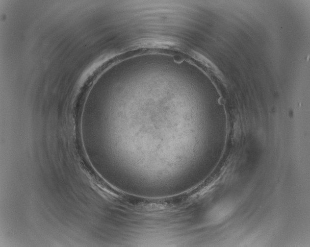 X0000063531027200601201453