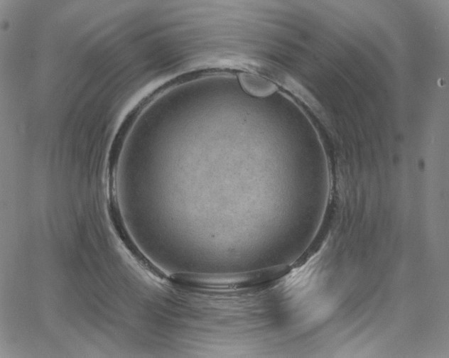 X0000063531028200601201453