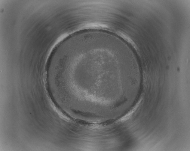 X0000063531029200601201453