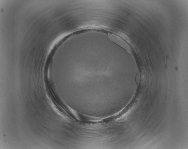 X0000063531030200601201453