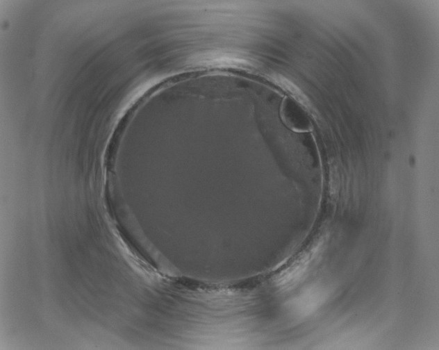 X0000063531031200601201453