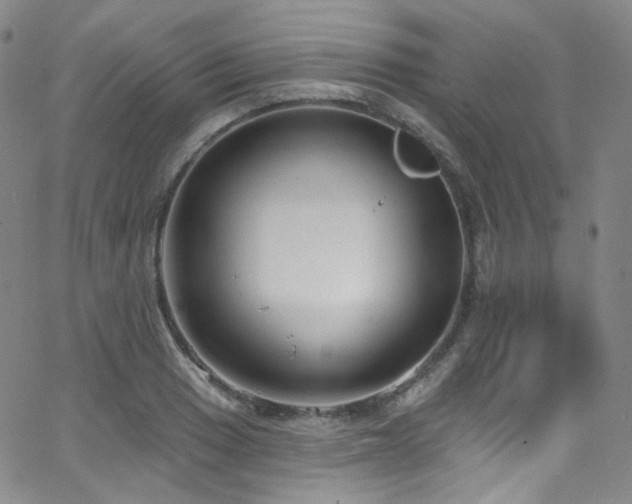 X0000063531033200601201453