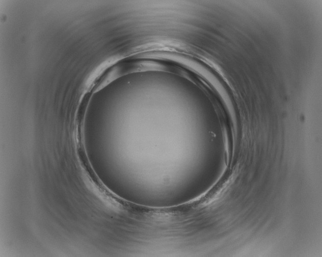 X0000063531034200601201453