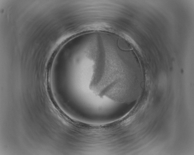 X0000063531035200601201453