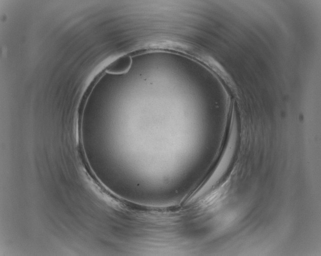 X0000063531036200601201453