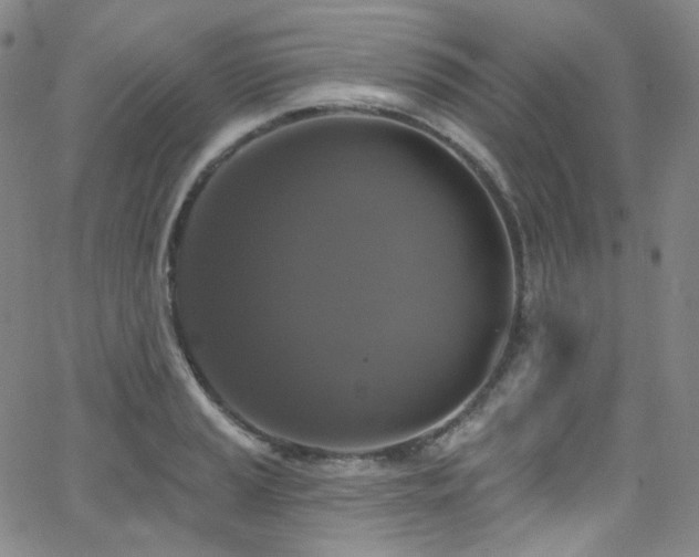 X0000063531037200601201453