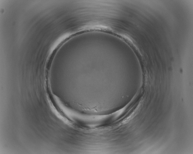 X0000063531038200601201453