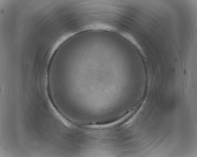 X0000063531040200601201453