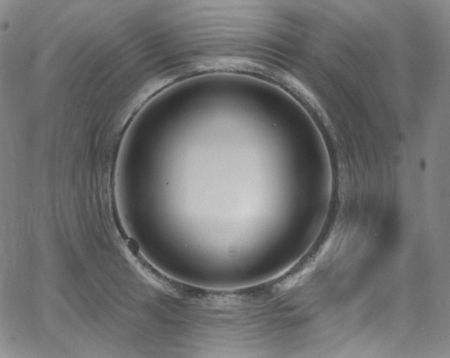 X0000063531041200601201453