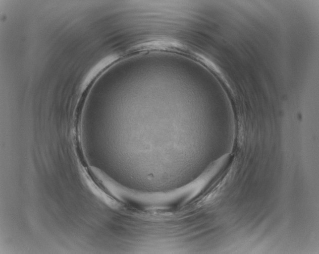 X0000063531042200601201453