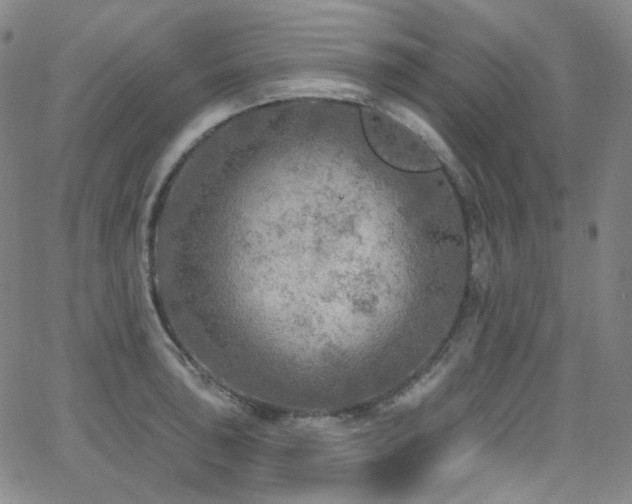 X0000063531043200601201453