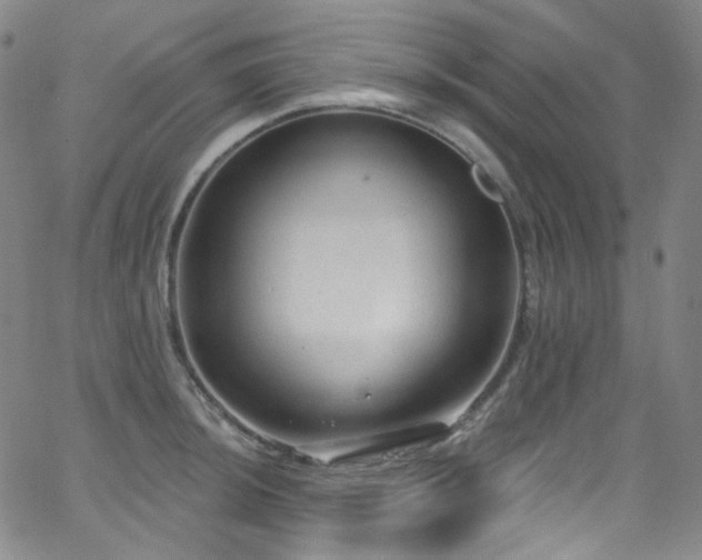 X0000063531044200601201453