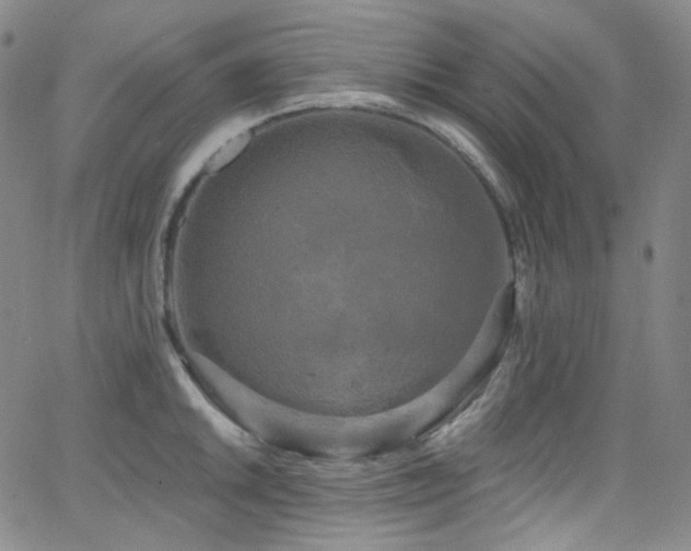 X0000063531046200601201453